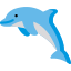 dolphin