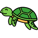 turtle image